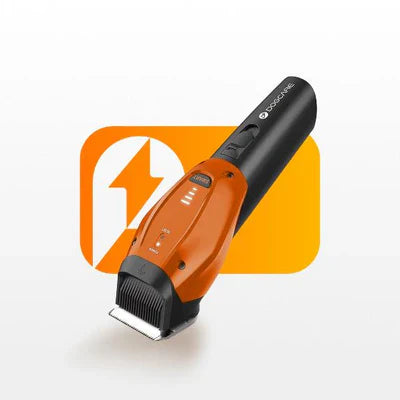 Accesorios para Hombres