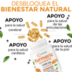 TURMERIC CURCUMIN 95% (Importado)